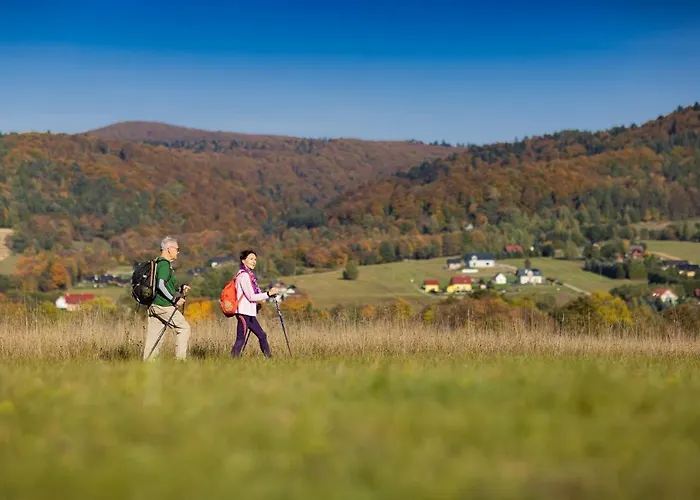 Centrum Lecznicze Glinik *